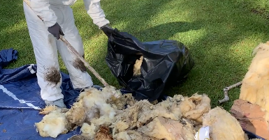 Cleaning out the crawlspace